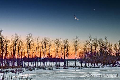 Moon Over Trees_06606-8.jpg - Photographed along the Rideau River at dawn near Kilmarnock, Ontario, Canada.